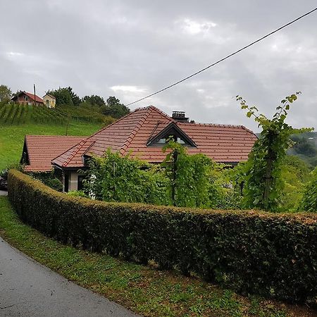 Wine & Nature & Tour Zgornji Leskovec Exterior photo