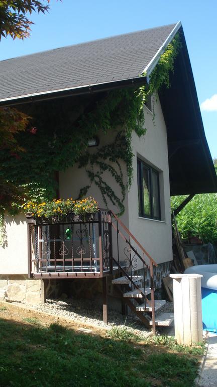 Wine & Nature & Tour Zgornji Leskovec Exterior photo