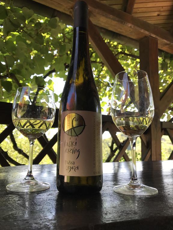 Wine & Nature & Tour Zgornji Leskovec Exterior photo